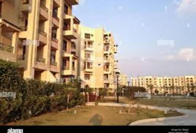 8241469 - Property Image 3