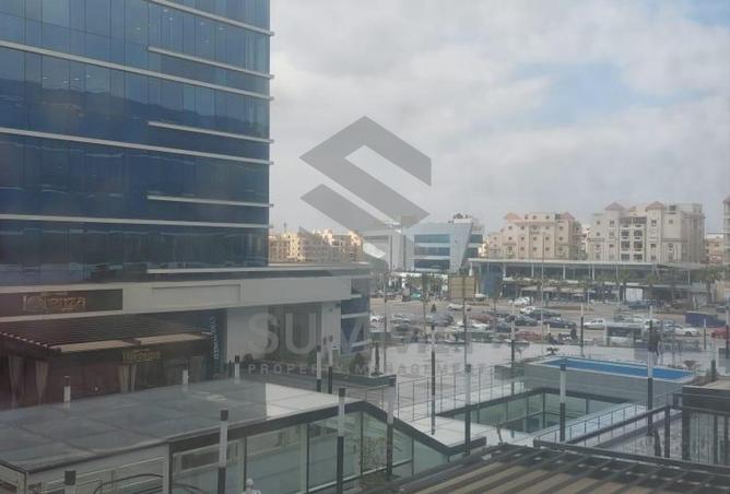 8051103 - Property Image 3