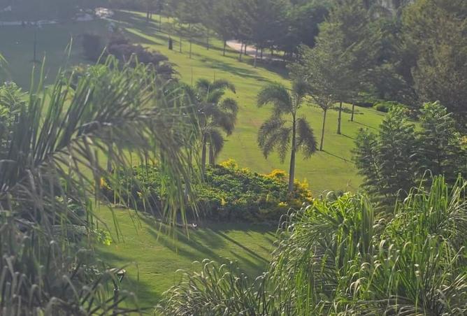 8141213 - Property Image 2