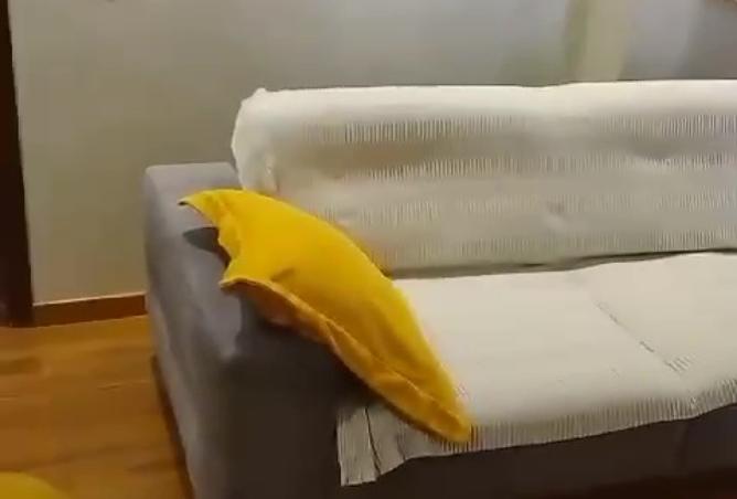 8448707 - صورة العقار 3