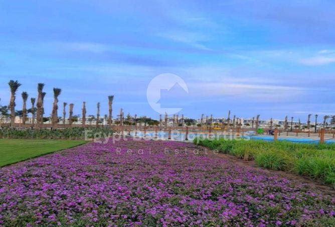 8395824 - صورة العقار 2