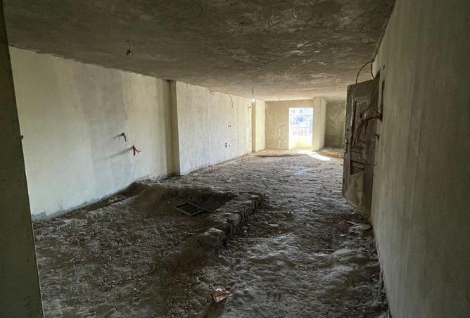 8384850 - Property Image 3