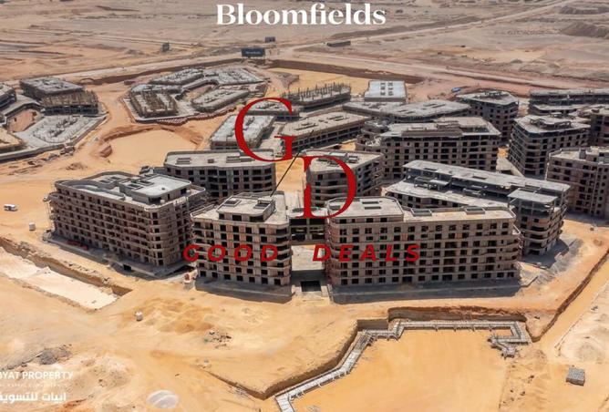 8467390 - Property Image 3