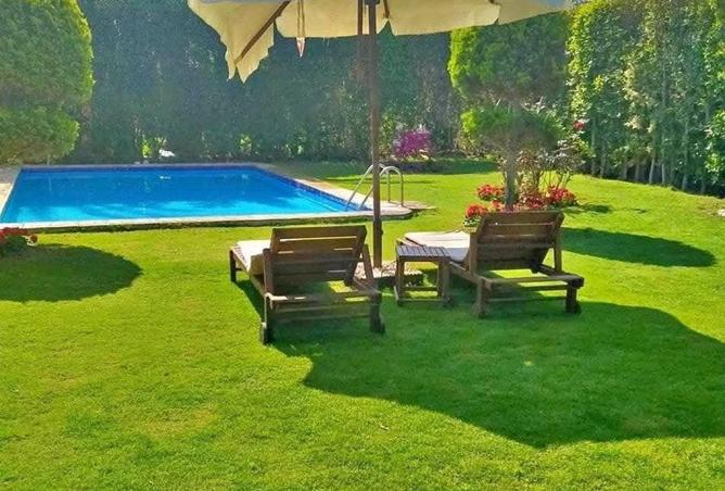 8182222 - صورة العقار 2