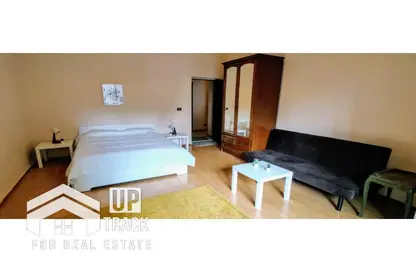 Apartment - 1 Bedroom - 1 Bathroom for rent in Ismail Mohamed St. - Zamalek - Cairo
