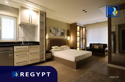 Apartment - 1 Bedroom - 1 Bathroom for rent in Degla Square - Degla - Hay El Maadi - Cairo