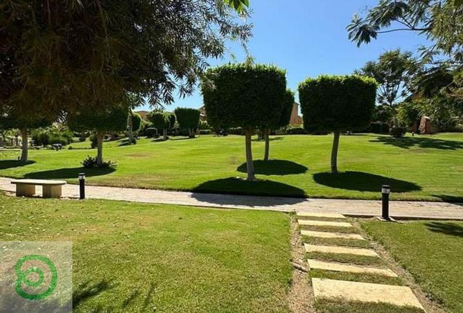 8161330 - الصورة الرئيسية للعقار