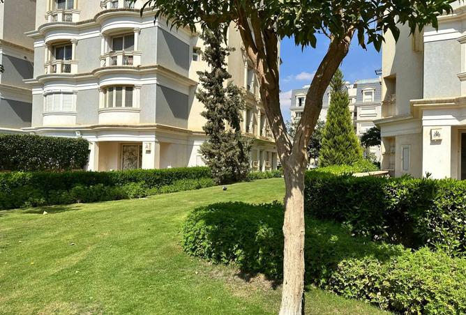 8174077 - صورة العقار 3