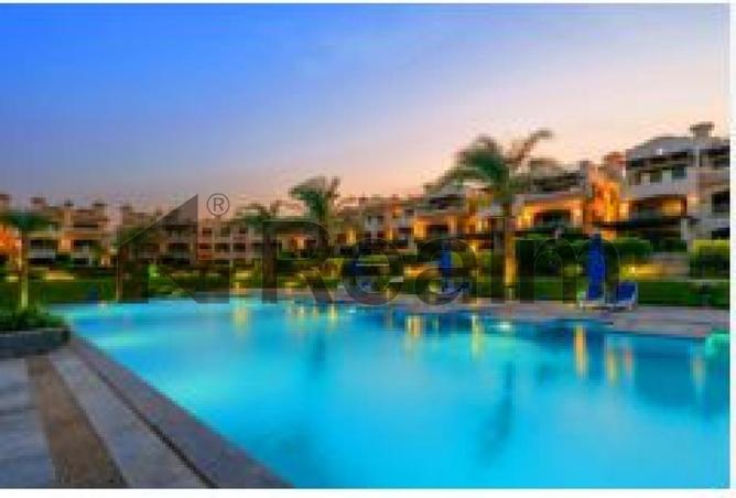 8341025 - Property Image 3