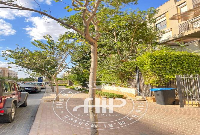 7978932 - الصورة الرئيسية للعقار