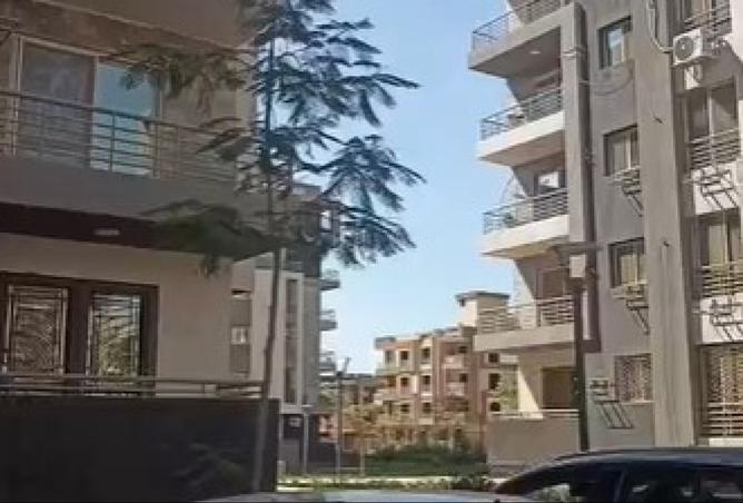 8087713 - الصورة الرئيسية للعقار
