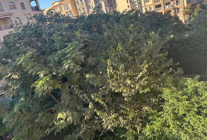 8453887 - صورة العقار 2