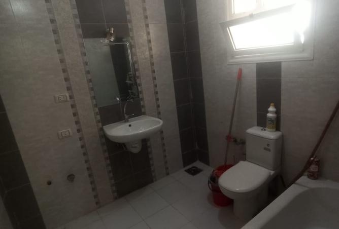 8192569 - Property Image 3