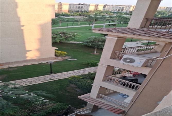 7979341 - Property Image 3