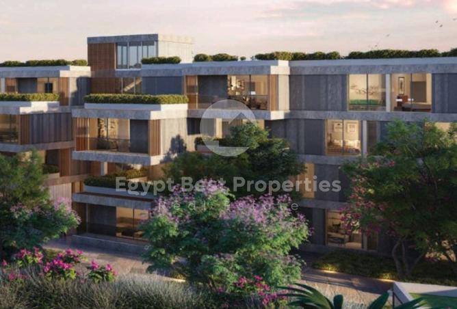 7924381 - Property Image 3