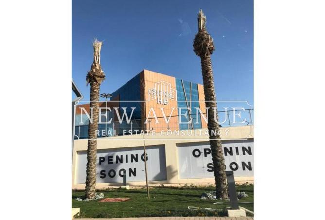 7913624 - صورة العقار 2