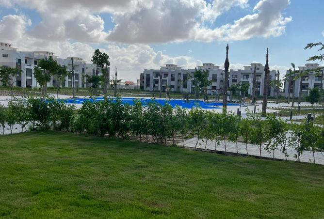 8291299 - Property Image 2