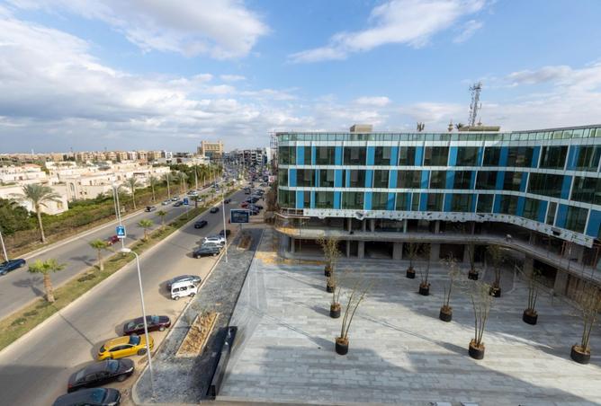7905481 - صورة العقار 2