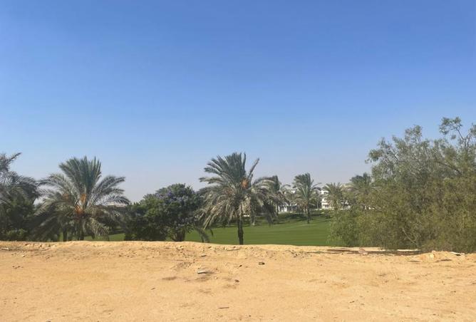 8050767 - Property Image 3