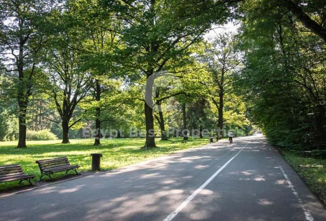 8414631 - صورة العقار 3