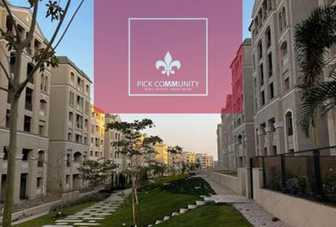 8446705 - Property Image 3