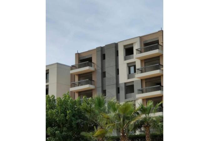 7881097 - Property Image 3