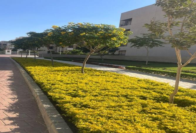 8046068 - الصورة الرئيسية للعقار