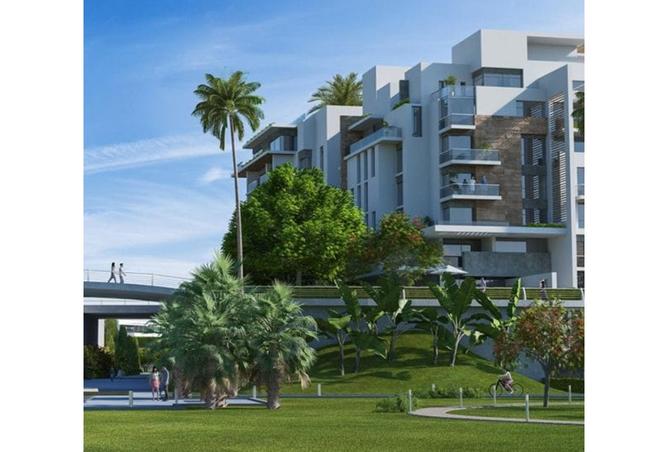 8262970 - Property Image 3