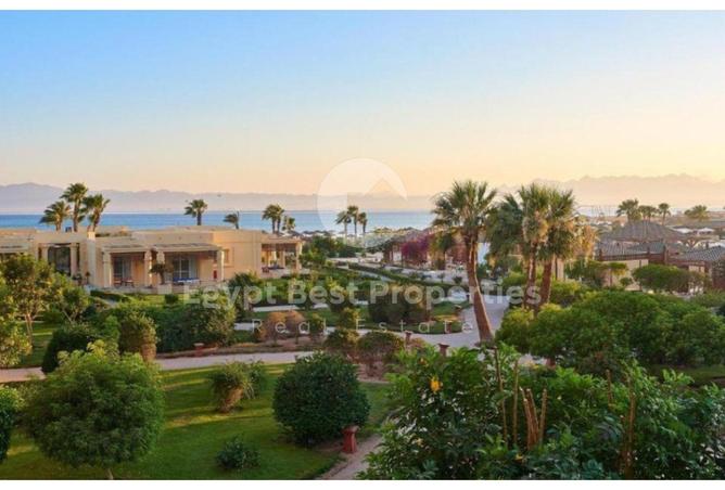 8463305 - صورة العقار 2