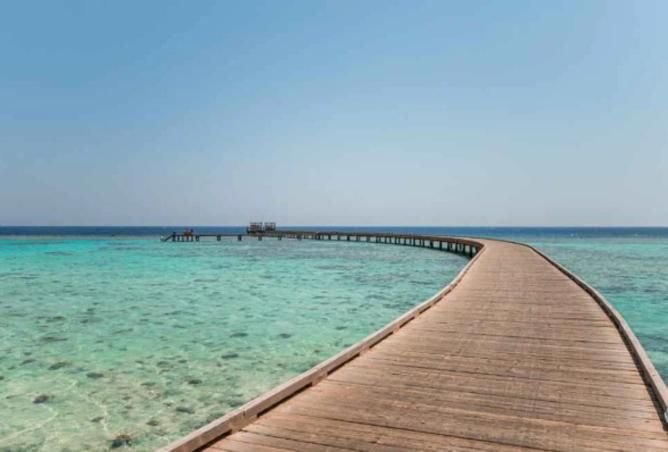 7889842 - صورة العقار 3