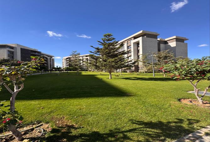 7205082 - الصورة الرئيسية للعقار