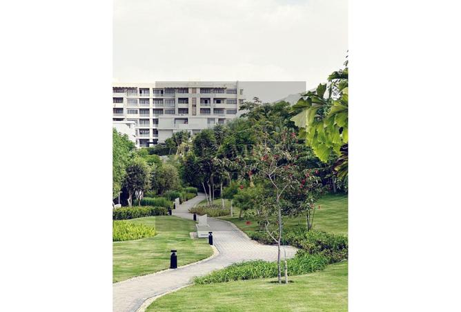 8109267 - Property Image 2