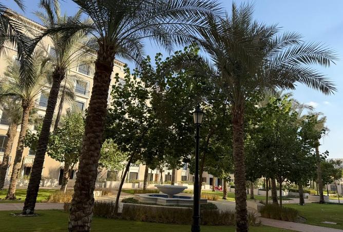 7959609 - صورة العقار 2