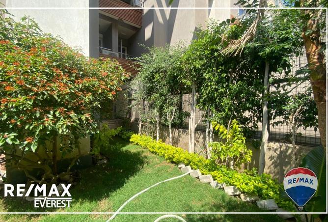 8115435 - Property Image 2