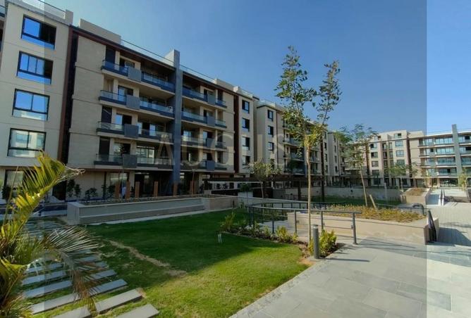 8252381 - Property Image 2