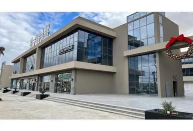 8151496 - Property Image 3