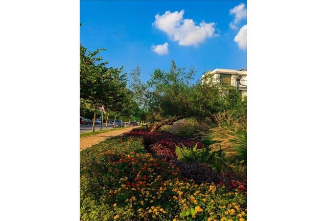 8156897 - Property Main Image