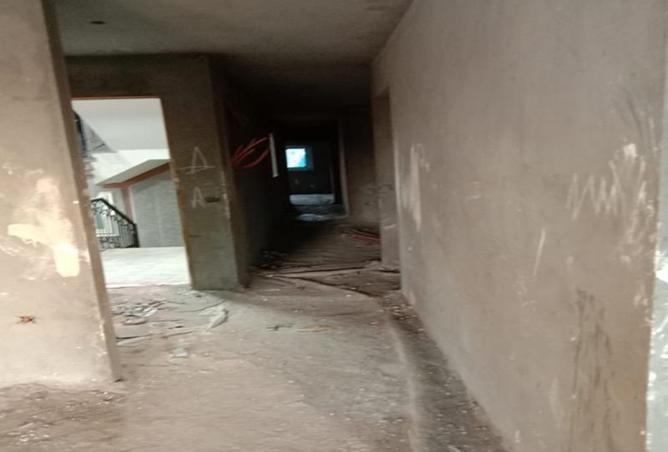 8244418 - Property Image 3