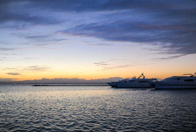 8195348 - صورة العقار 2