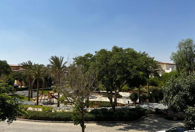 8435996 - Property Image 3