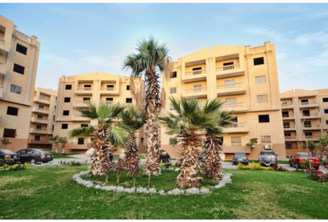 8087412 - Property Image 2