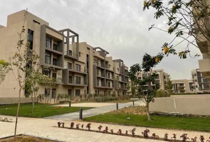 8229902 - Property Image 3