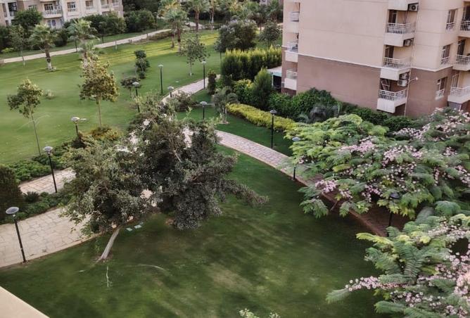 8015118 - Property Image 3