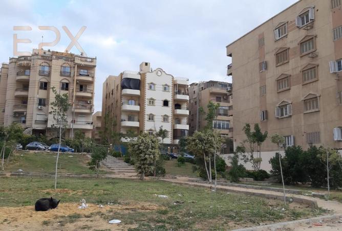 8179245 - صورة العقار 3