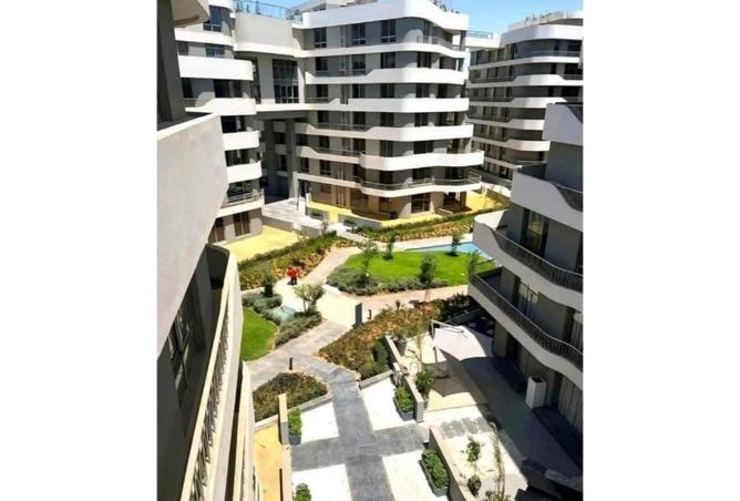 8185382 - Property Image 3