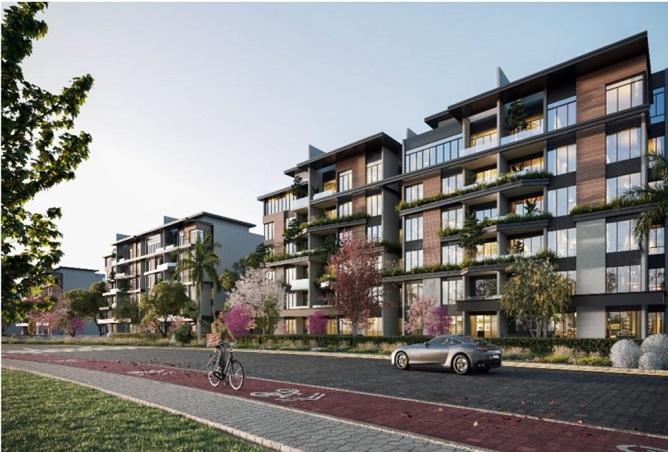 8405844 - Property Image 3