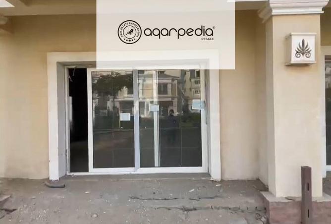 8123413 - Property Image 3