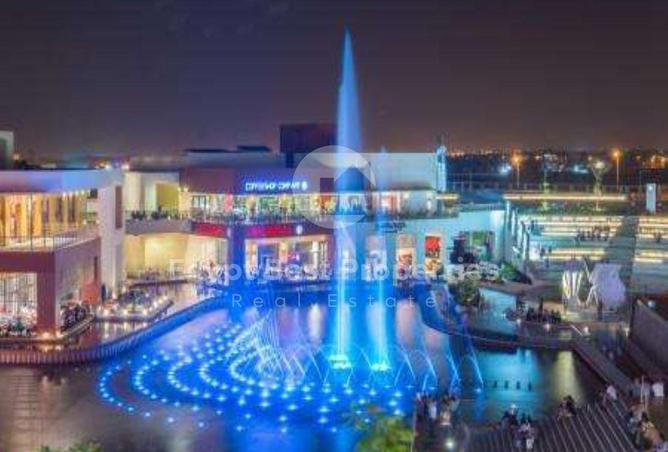 8197416 - Property Image 3