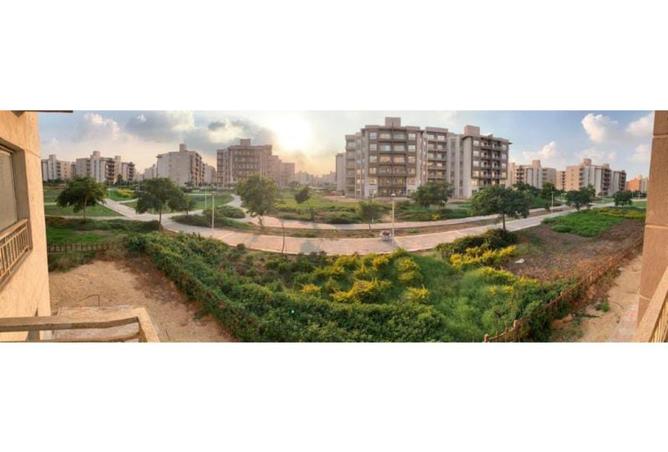 7949192 - الصورة الرئيسية للعقار