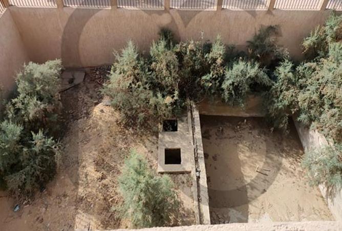 3960221 - Property Image 3